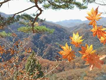 未央区市场监督管理局启动全方位市场监管体系打造项目